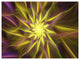 Shining Golden Exotic Fractal Flower, Floral Canvas Art Print, 40"x30"