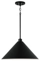 Alden 1-Light Pendant, Matte Black