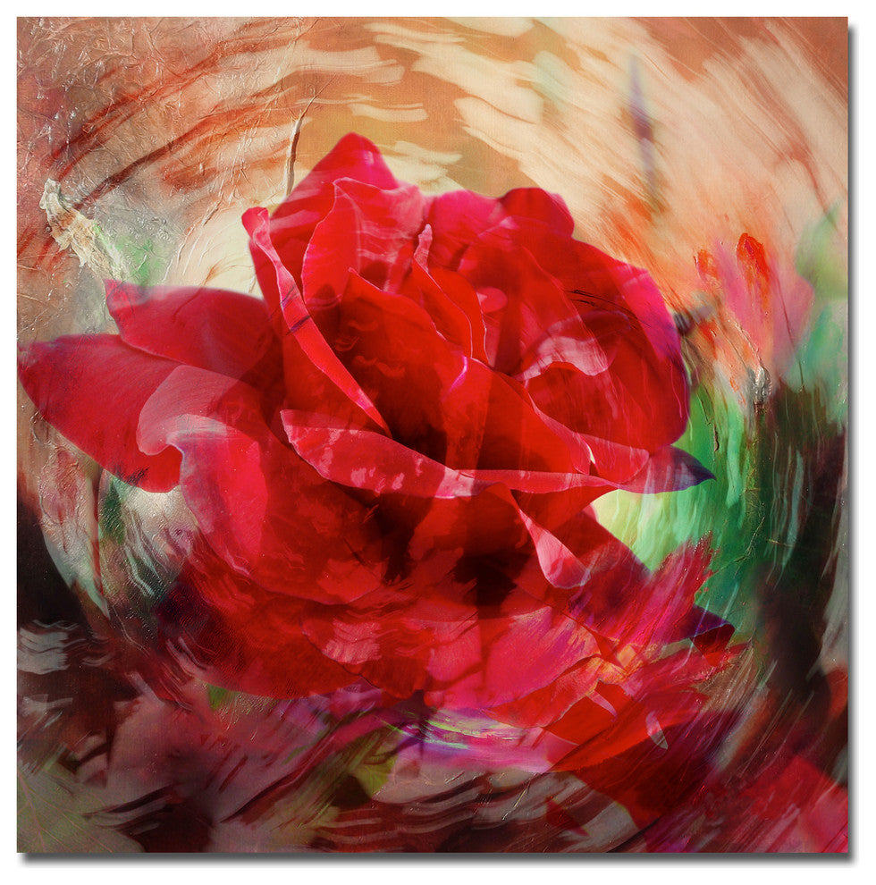 Rose in Bloom Canvas Wall Art