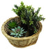 12" Natural Willow Round Tray