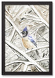 Winter Blue Jay 12x18 Black Framed Canvas