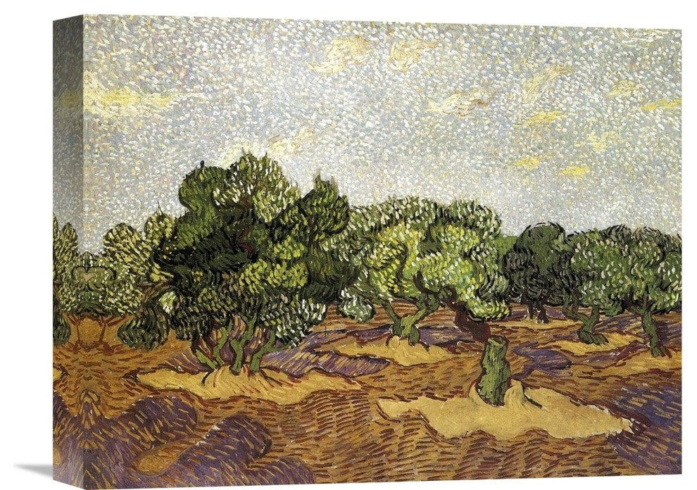 "Olive Grove Pale Blue Sky" Stretched Canvas Giclee by Vincent Van Gogh, 16"x12"