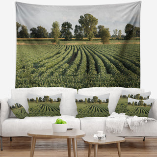 Wisconsin Soybean Field Rows Landscape Wall Tapestry, 92"x78"
