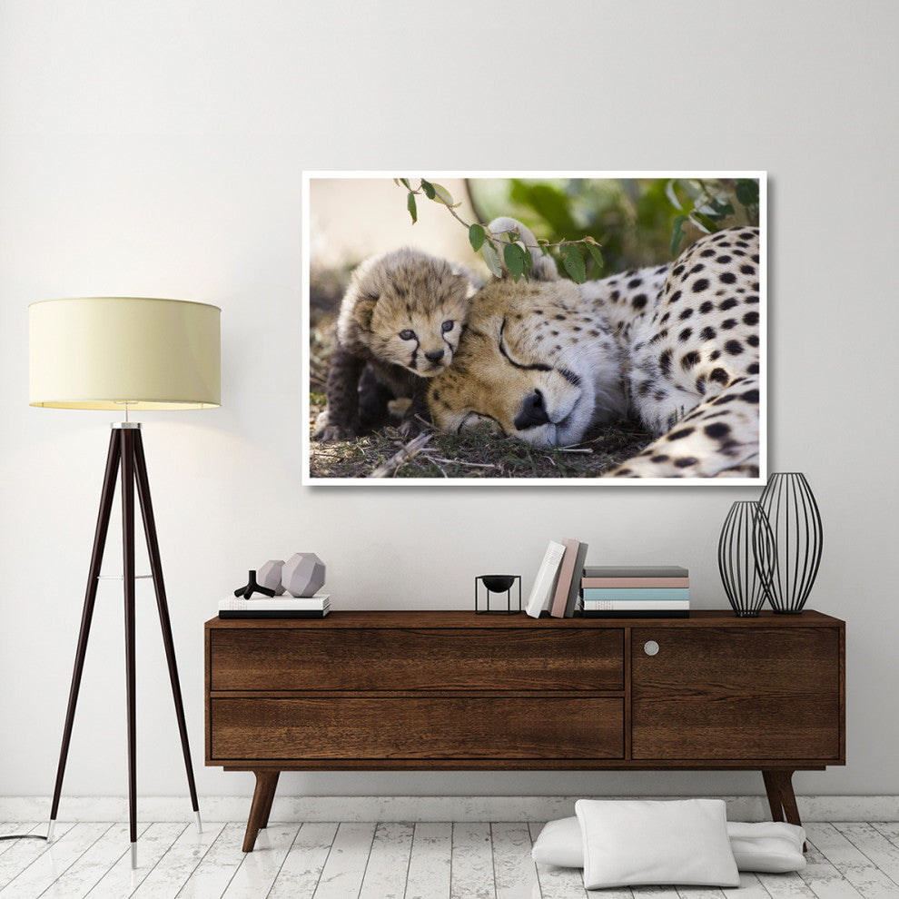 "Cheetah mother and seven day old cub, Maasai Mara Reserve" Paper Art, 62"x42"