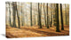 Bright Autumn Day in Thick Forest, Modern Forest Canvas Art, 32"x16"