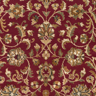 Ventura Transitional Oriental Red Rectangle Area Rug, 9'x12'