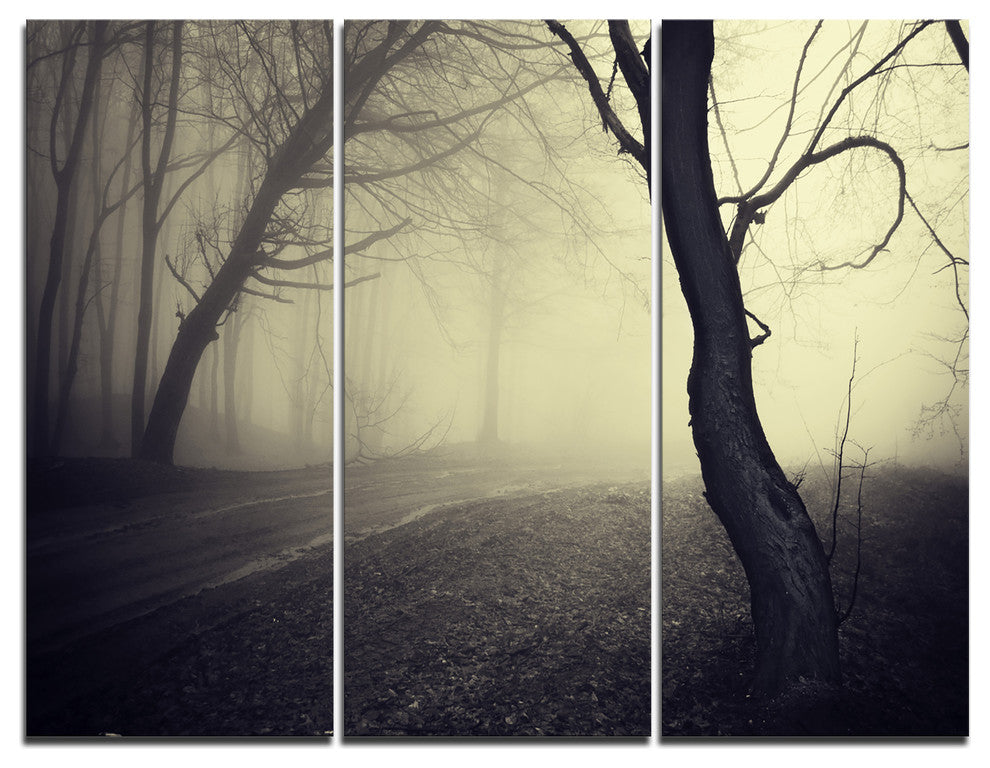 "Old Looking Fall Forest Shoot" Photo Canvas Print, 3 Panels, 36"x28"
