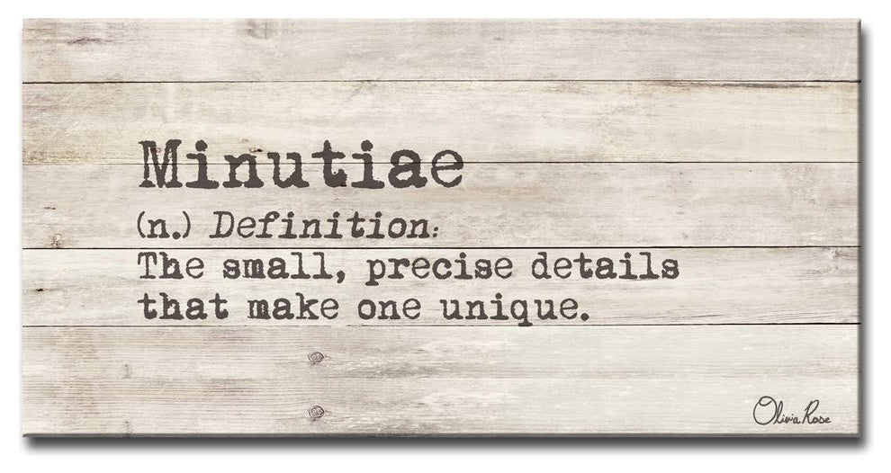 Ready2HangArt 'Define Minutiae' Inspirational Canvas Art by Olivia Rose, 24"x48"