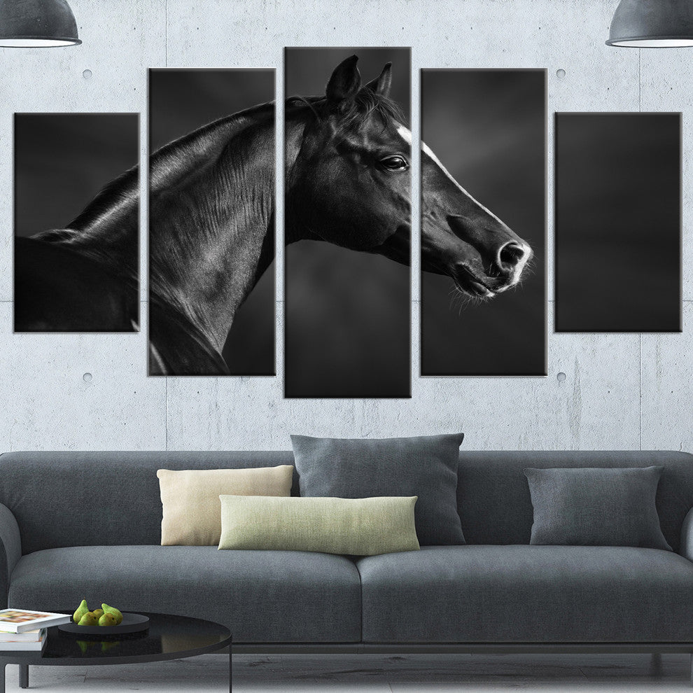 Black Arabian Horse Portrait, Animal Canvas Art Print, 60"x32", 5 Panels