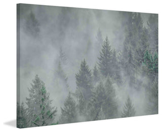 "Misty Mood" Painting Print on Canvas