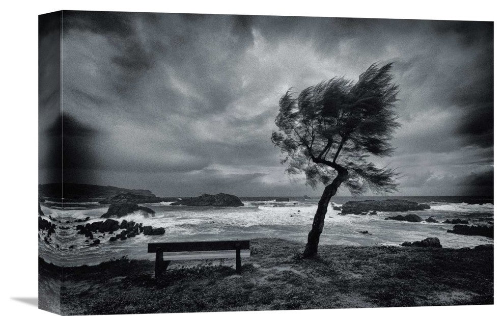 "Today No One" Stretched Canvas Giclee by Mikel Lastra, 16"x11"