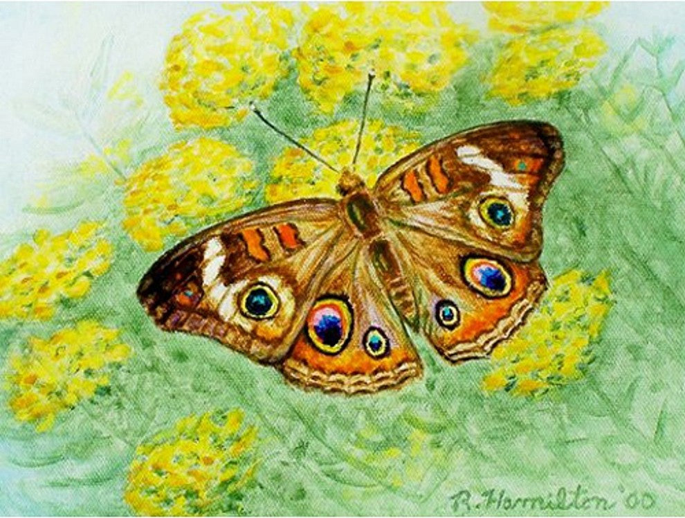 Buckeye ButterFly Door Mat 30x50