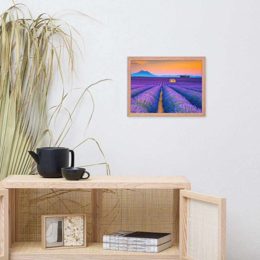 Blooming Lavender Field and Sunset Floral Landscape Framed Photo Wall Art Prints, Red Oak, 12" X 16"