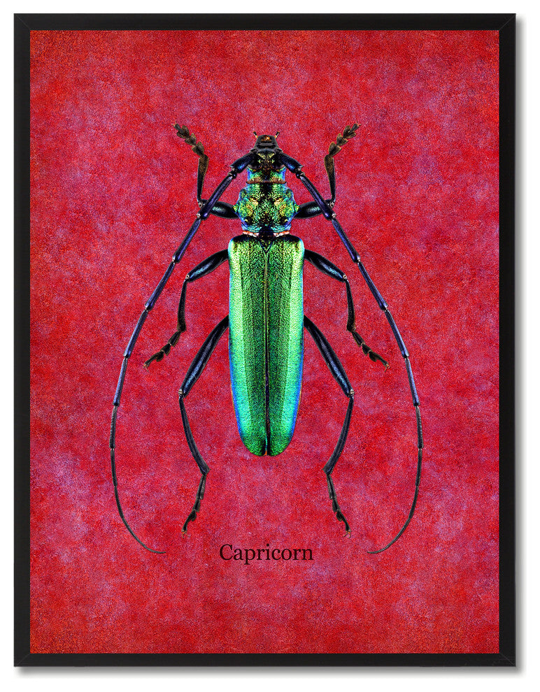 Capricorn Animal Red Canvas Print, Custom Picture Frame, 13"x17"