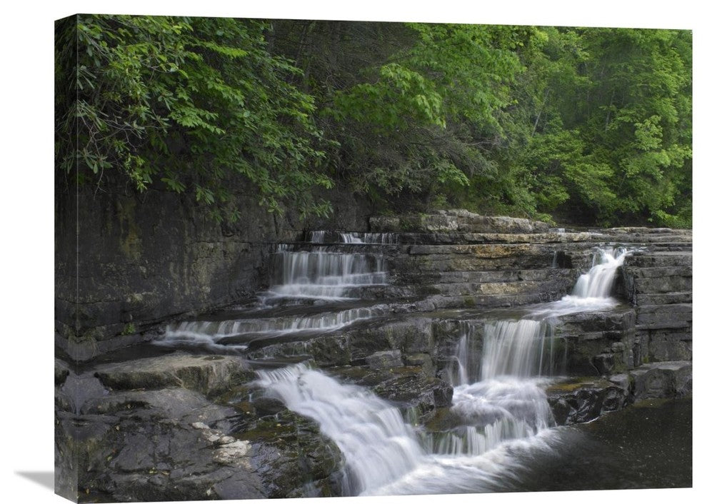 "Dismal Falls, Jefferson National Forest, Virginia" Artwork, 24" x 18"
