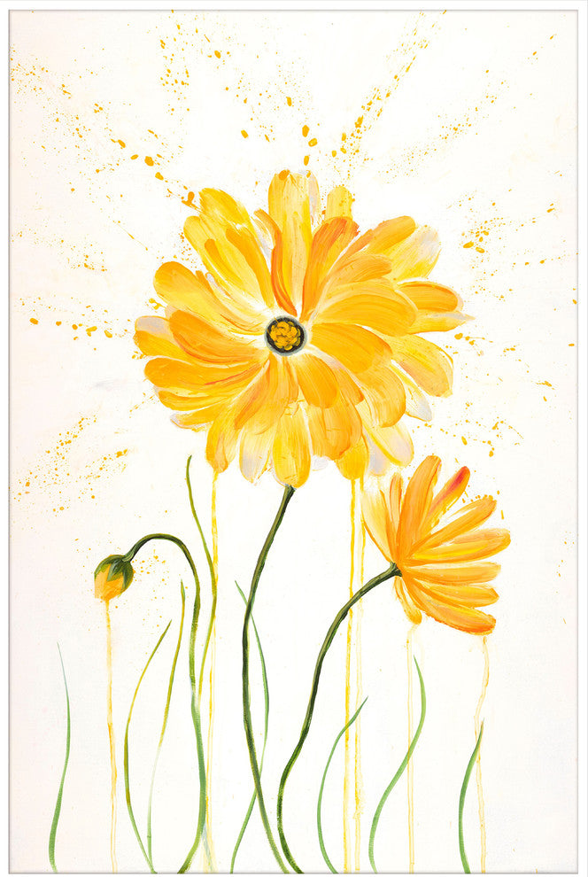 "Flower Shower II" by Julie Joy Floater Framed Print Canvas, 24x36