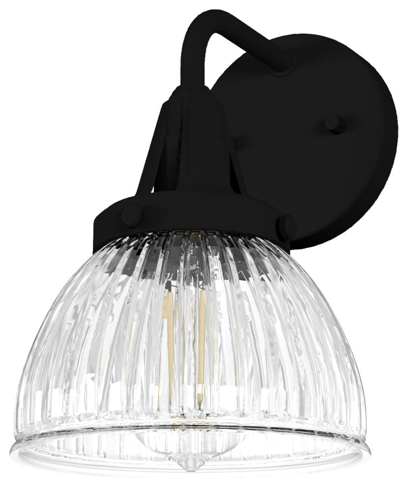 Hunter Cypress Grove Natural Iron 1-Light Sconce Wall Light Fixture
