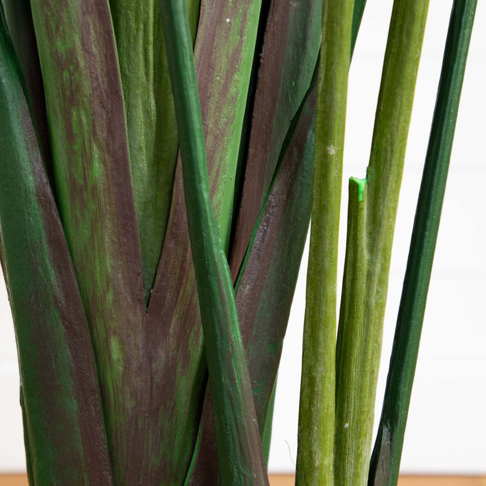 Close-up of multiple stems with color variation on white background (alternate_white_close).