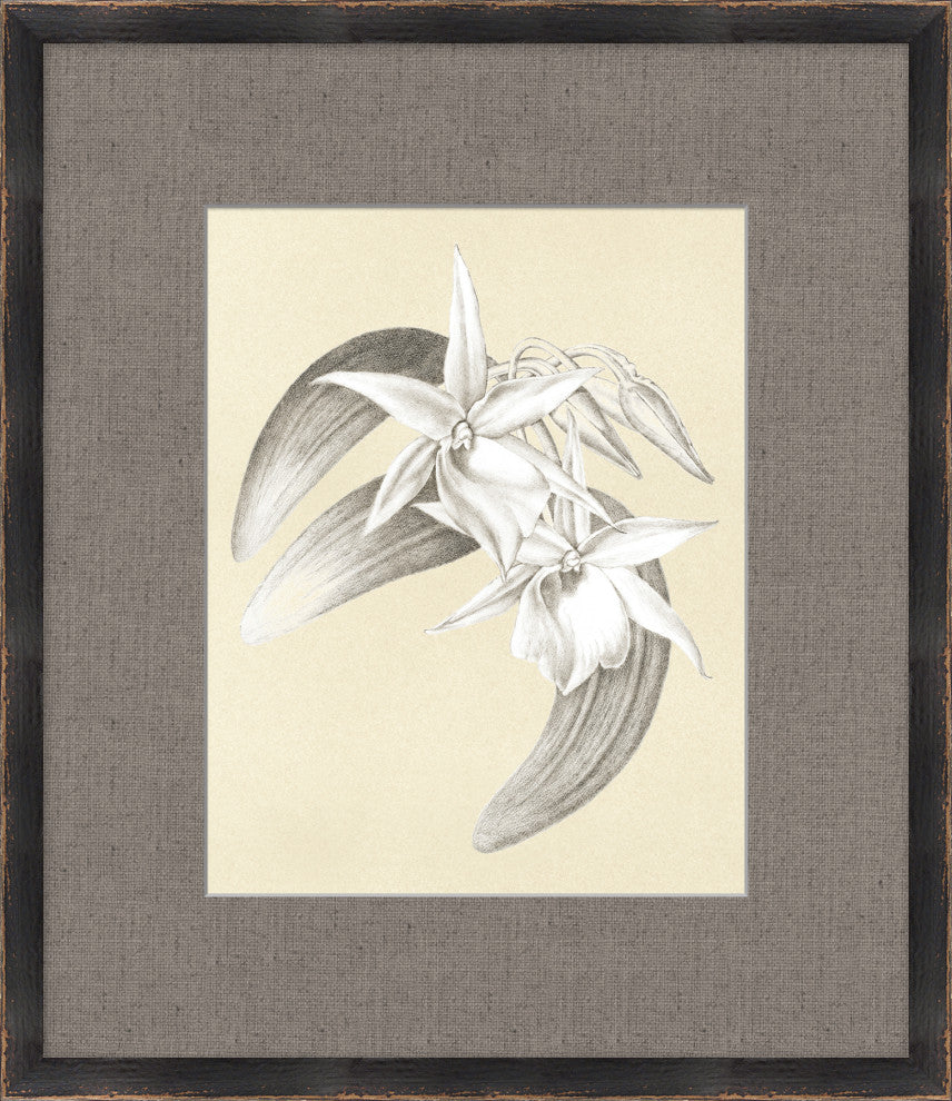 Bright Blades, Giclee Reproduction Artwork