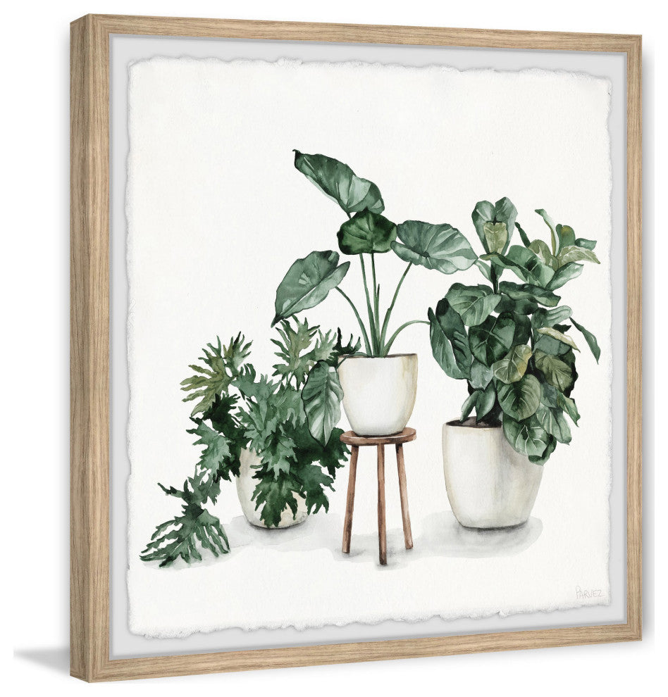 "Indoor Blooming Garden" Framed Painting Print