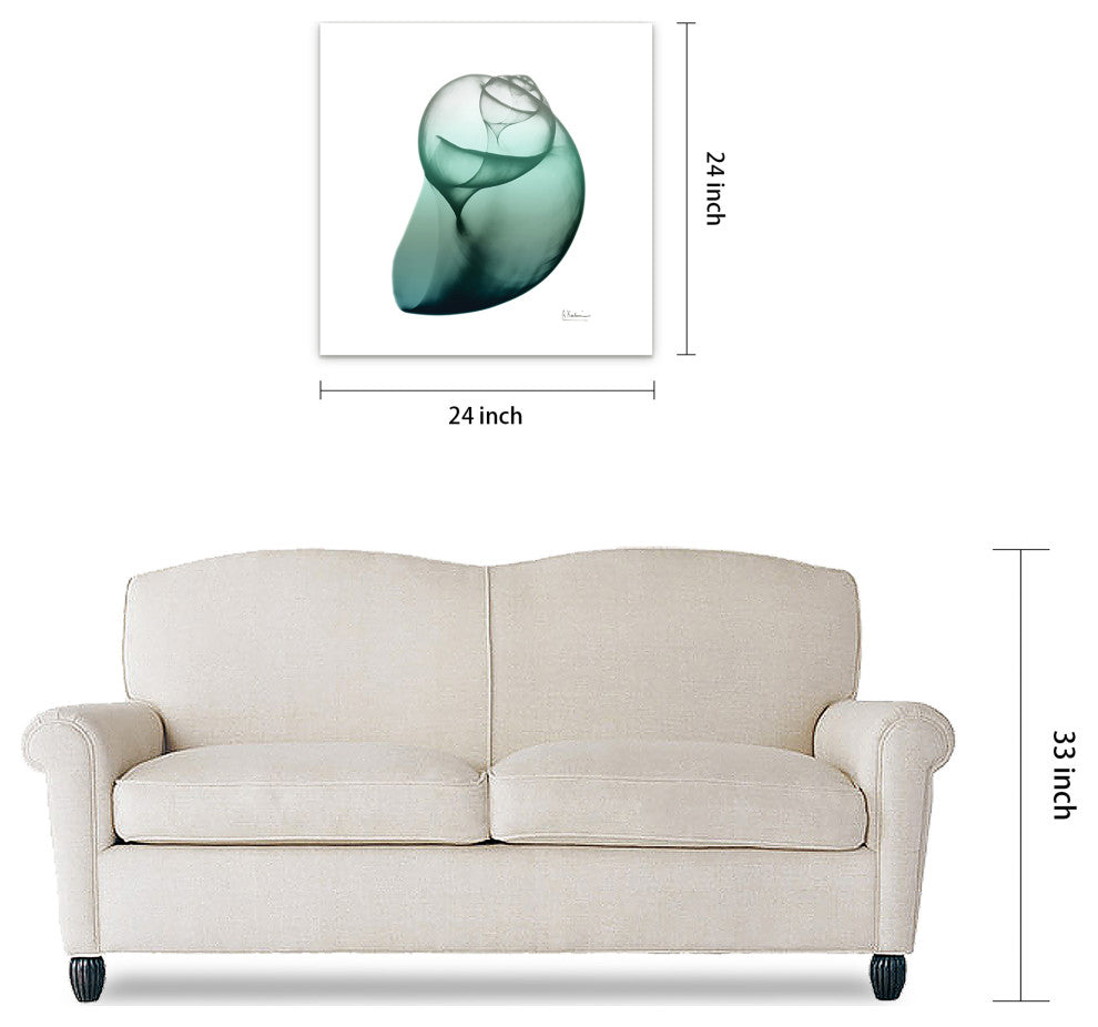 "Shimmering Snail I" Wall Art on Frameless Free Floating Tempered Glass Panel