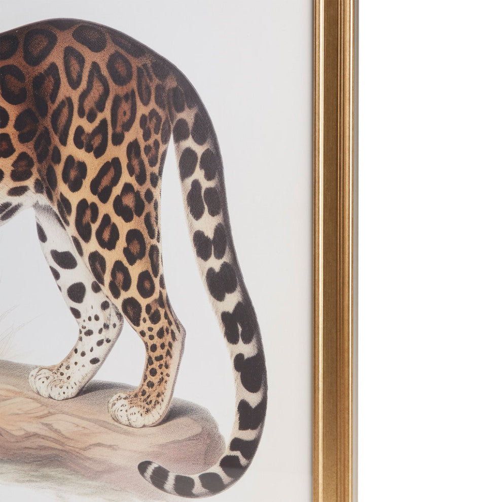 Madison Park The Duel Cheetah Framed Graphic Wall Decor 2 Piece set, Multi