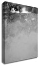 Dreamin"™ by Jon Bertelli, Print on Canvas, 24"x36"