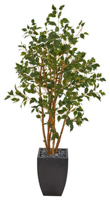 58" Ficus Artificial Tree, Black Planter