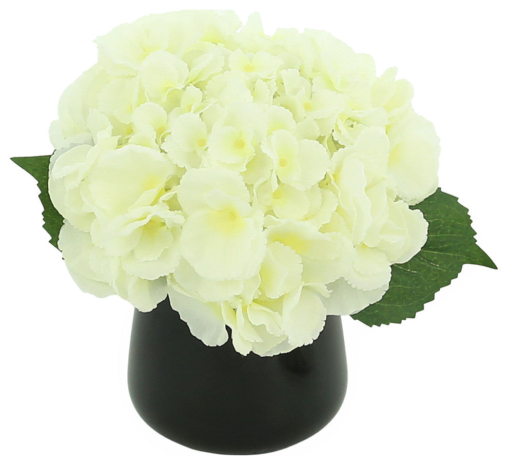Hydrangea Arrangement in a Glass Vase