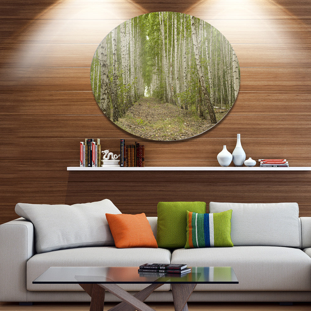 Dense Birch Grove In Summer Day, Forest Disc Metal Wall Art, 11"