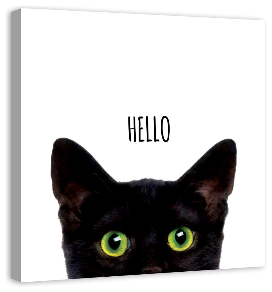 Designs Direct Curious Hello Black Cat 36x36 Canvas Wall Art