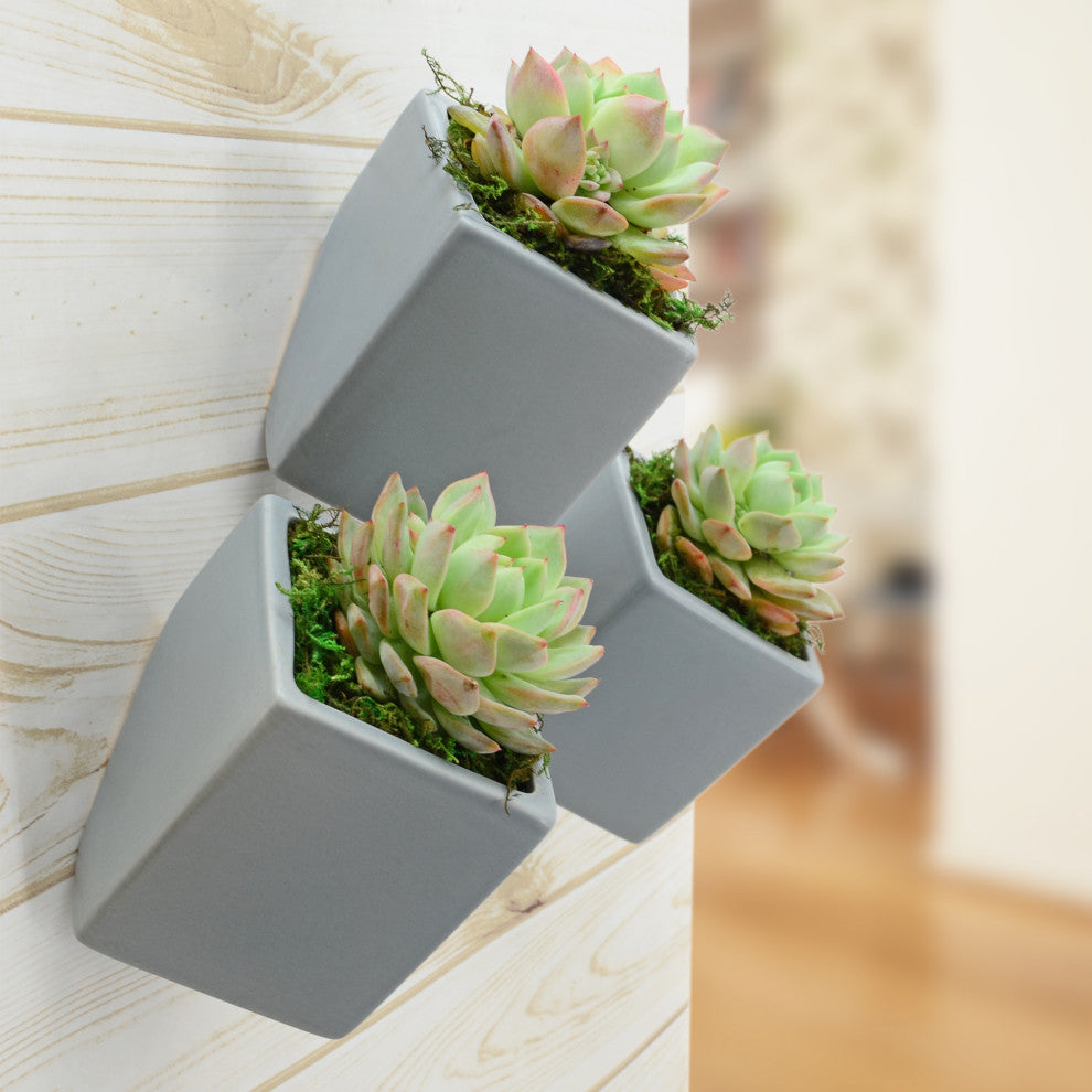 Large Cube Wall Planter, Light Gray