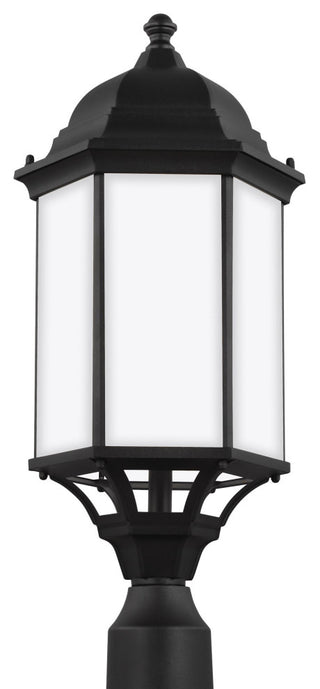 Sevier Large 1-Light Outdoor Post Lantern, Black
