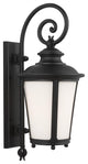 Cape May Large 1-Light Outdoor Wall Lantern, Black