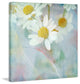 "White Daisy 1" Painting Print on Wrapped Canvas by Julie Joy