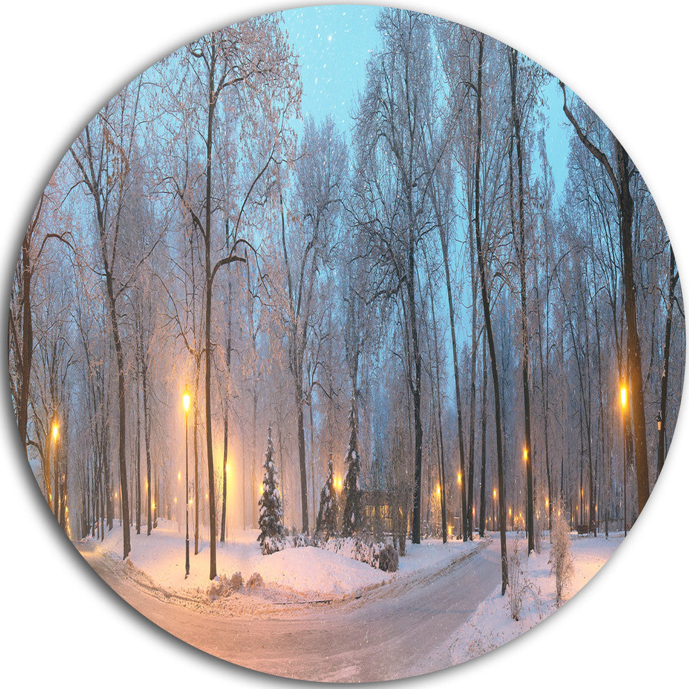 Winter Time Mariinsky Garden, Landscape Photo Disc Metal Wall Art, 38"