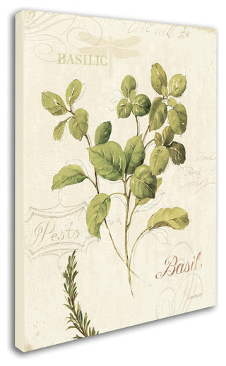 'Aromantique III' Canvas Art by Lisa Audit