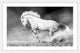 Marmont Hill, "Bucking Bronco" Framed Painting Print, 36x24