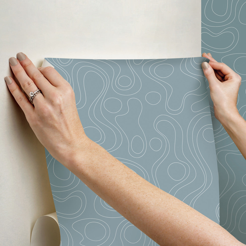 Emily Rayna Blue Lineation Peel and Stick Wallpaper