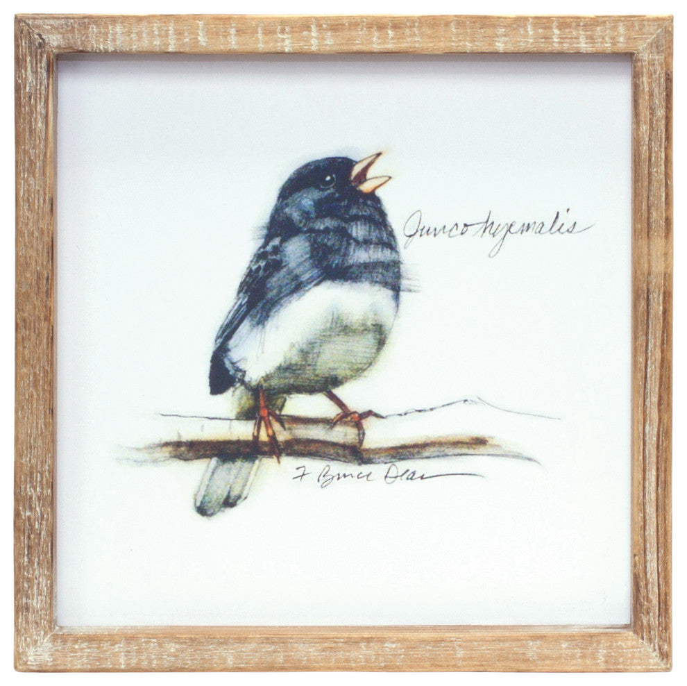 Framed Bird Print, 4-Piece Set