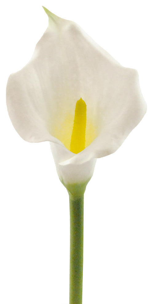 Flower Calla Lily Centerpieces, White, Set of 3
