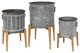 Set of 3, Assorted Metal Planters, Stands
