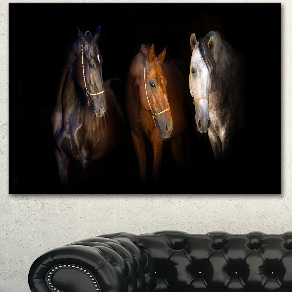 Three Horses with Golden Bridle, Animal Canvas Art Print, 40"x30"