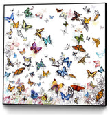 "Papillon" Framed Canvas by Giant Art 30"x30"