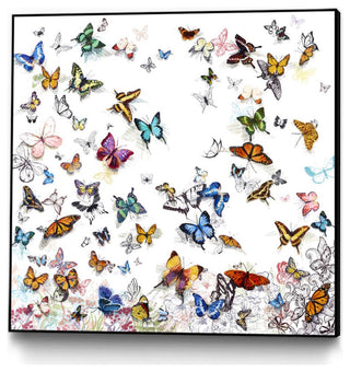 "Papillon" Framed Canvas by Giant Art 30"x30"