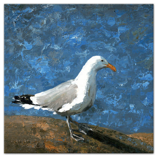 Painted Coastal Seagull 20x20 Canvas Wall Art