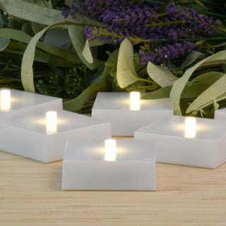 Battery Operated Warm White LED Lights, Set of 6