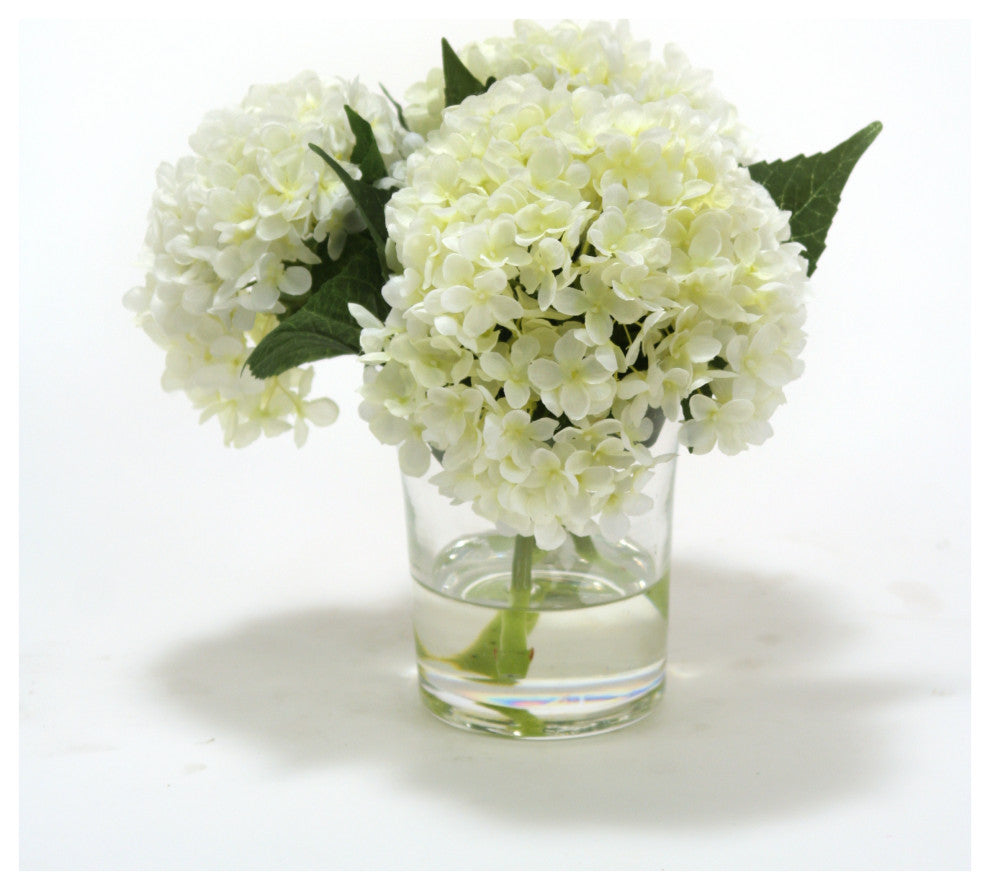 WaterlookÂ® White Hydrangeas in Glass Cylinder