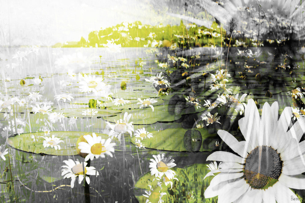 "Lilies" Fine Art Canvas Print, 60"x40"