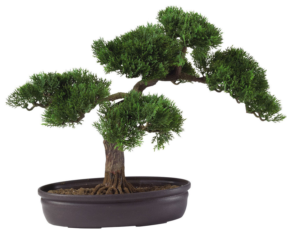 Cedar Bonsai 16" Silk Plant